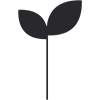 csr-activities