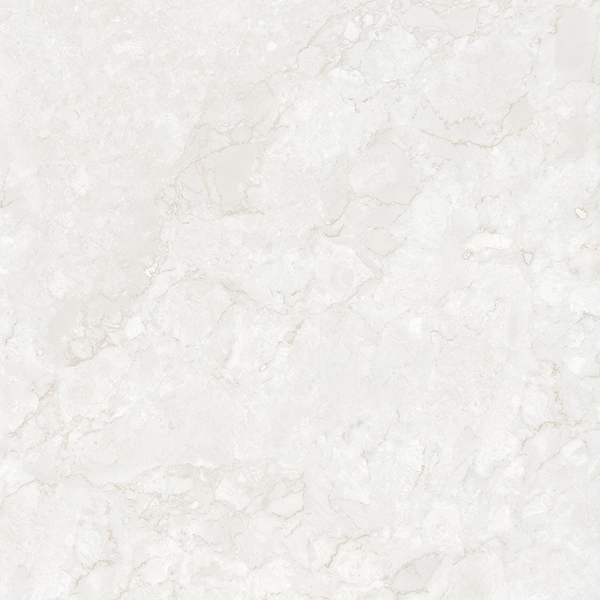  collection-img