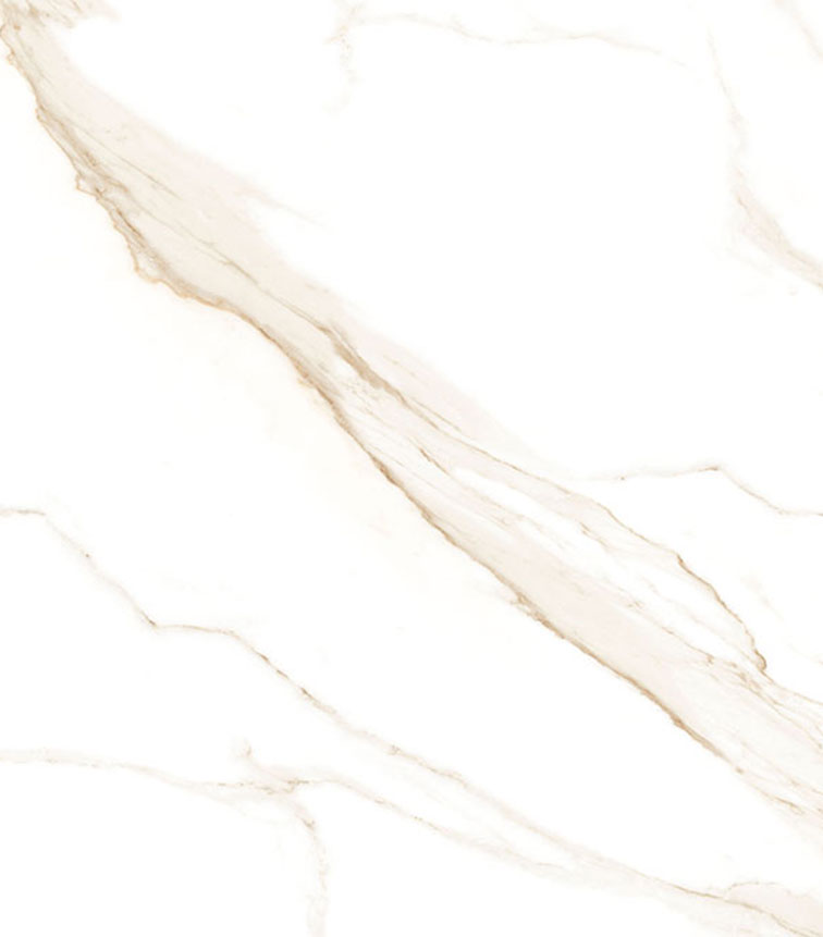 Premium Polished | Modern Matt