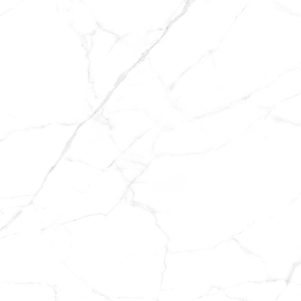  collection-img