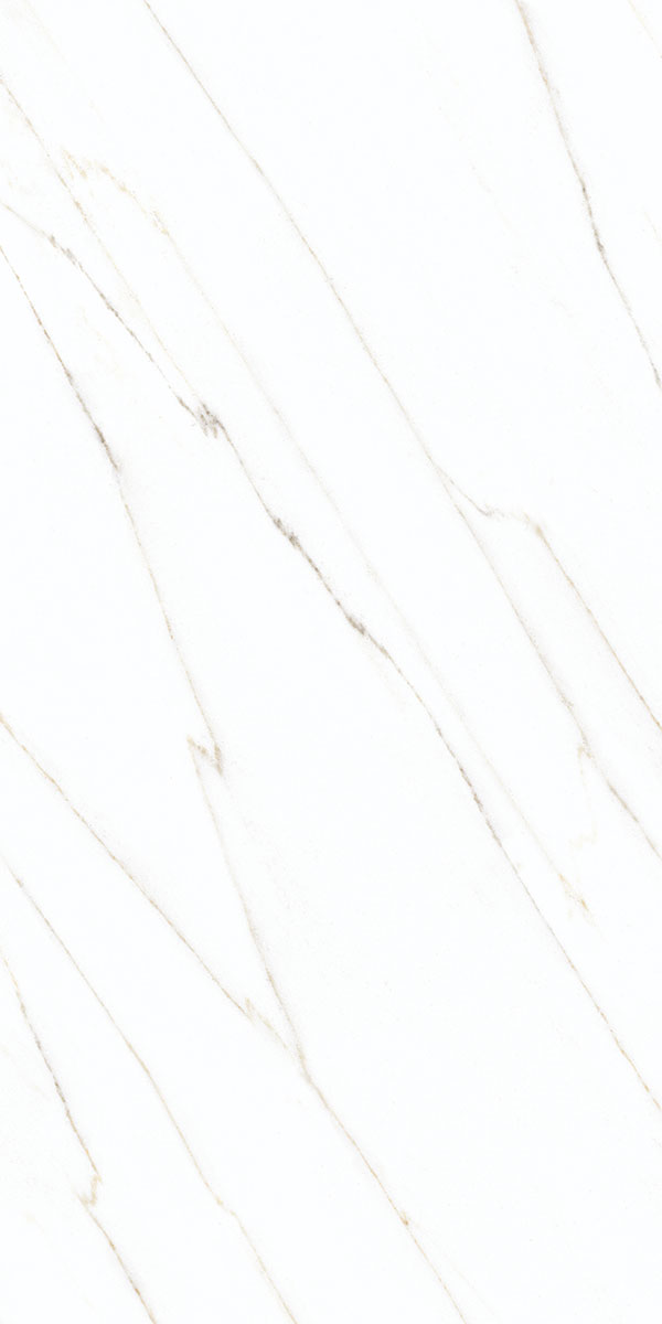  collection-img