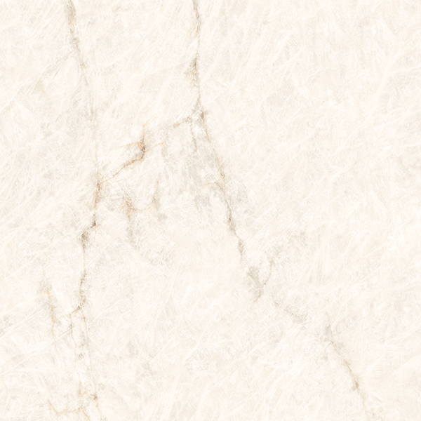 collection-img