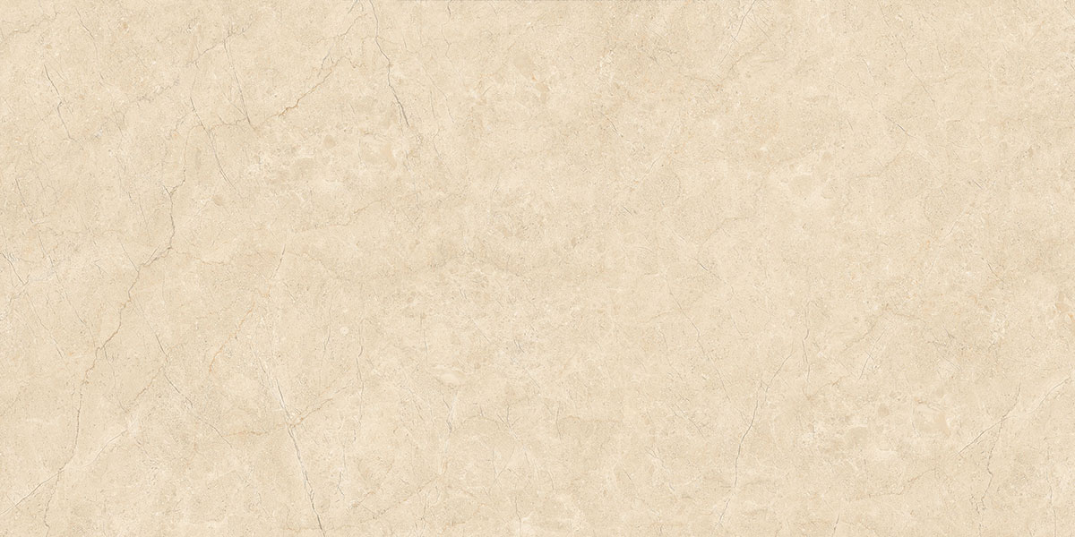  collection-img
